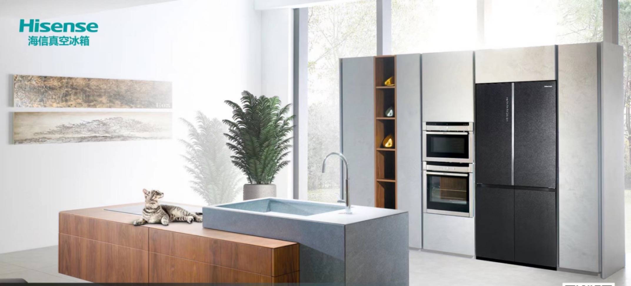 《拜托了冰箱》完美收官，海信真空·全金属冰箱圈粉全明星-家电圈官网