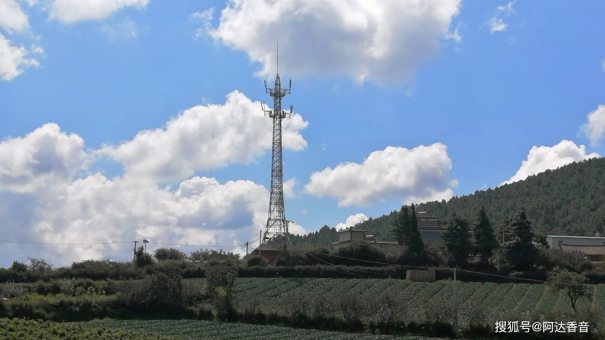 上杨柳村云南省宾川县大营镇上杨柳村