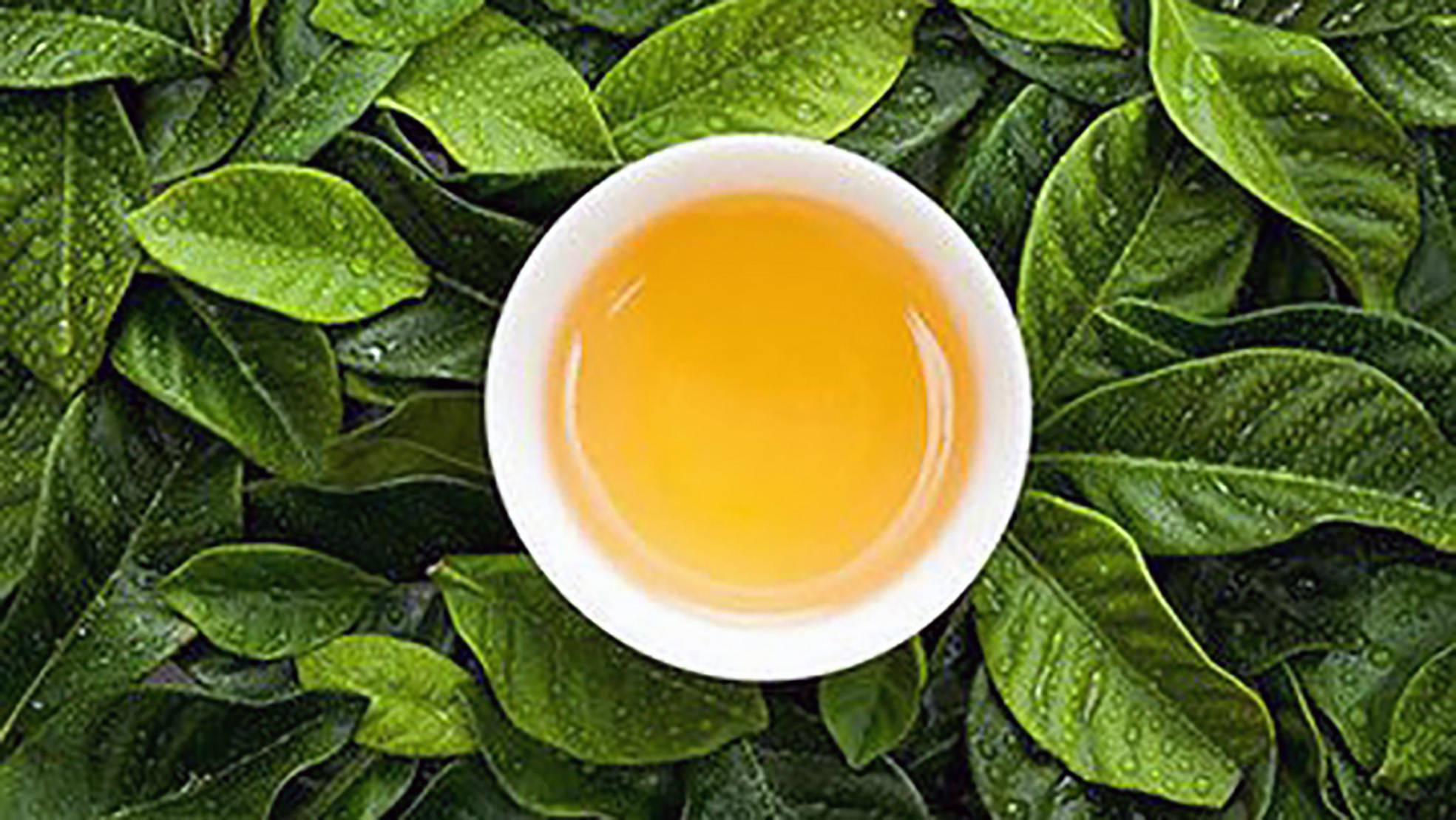 苏轼人生如茶一碗清水煎红尘