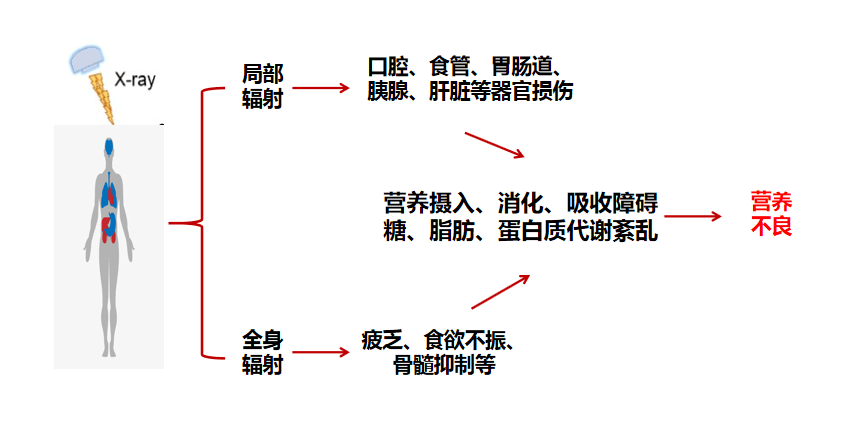 阿健|“癌症病人最后是饿死的？”所言非虚？省肿瘤医院李涛：重视这种治疗，还有救