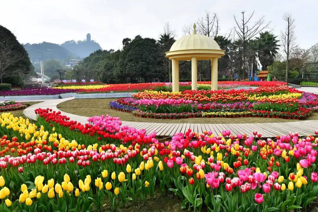 重庆南山植物园美景