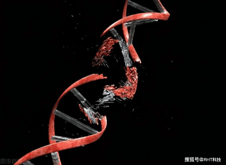 甲醛是如何致癌的已证实甲醛破坏dna损伤修复机制诱发癌症