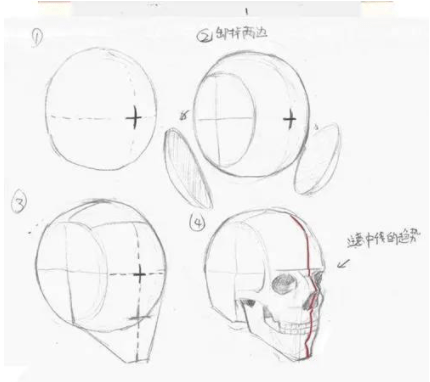 头像|门面担当绘画技巧：板绘新手怎么画头像和脸部教程