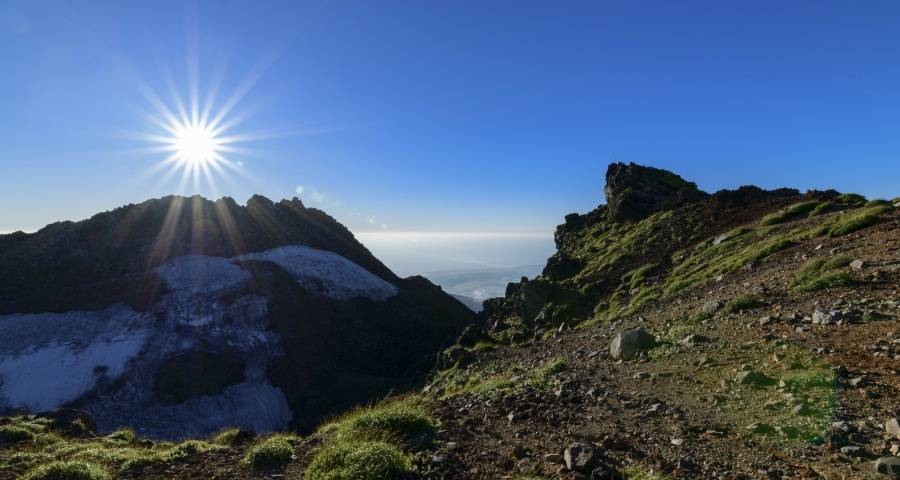 厨电的商业化前景，并不取决于洗碗机净水器集成灶等新品类-家电圈官网