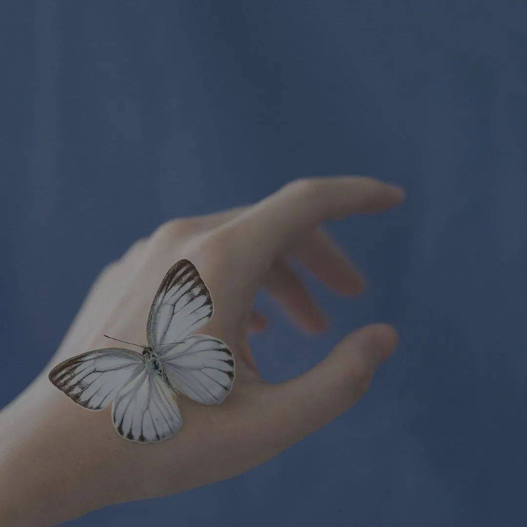 卡通 简约风格的头像|简单干净头像小清新头像|卡通可爱简单小头像|简易可爱的头像