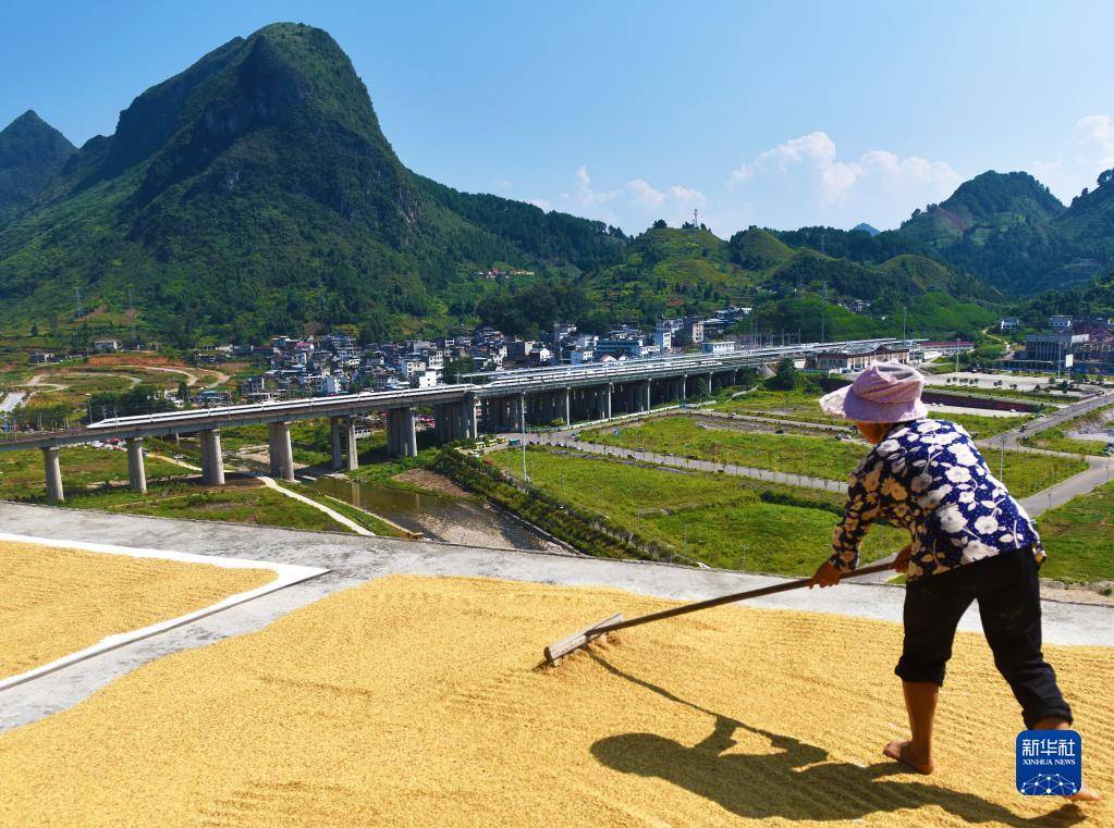 飞驰在千里沃野,看丰收中国