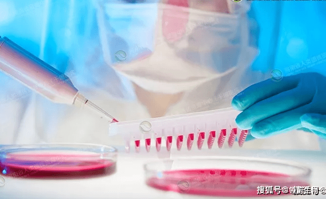 急性白血病能治好吗有造血干细胞 10ee6678c57644e6a7c9143d4bc72989.png