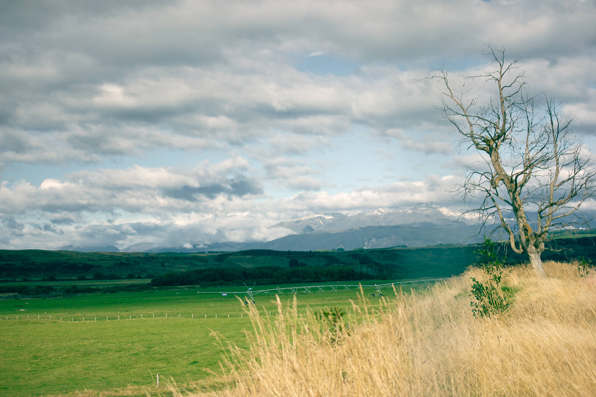 摄影师向莹:原始旷野,静谧的新西兰