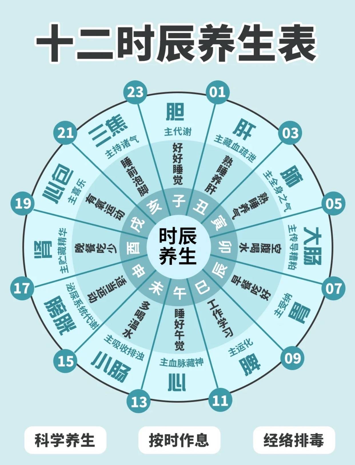 十二时辰养生中医科学养生按时作息指南