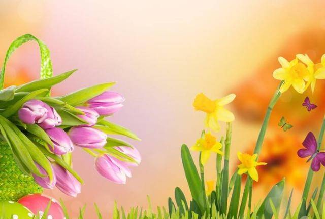 如何让自己变得更加优雅 bda3c08780384186ba8b596dc52dd039.jpeg