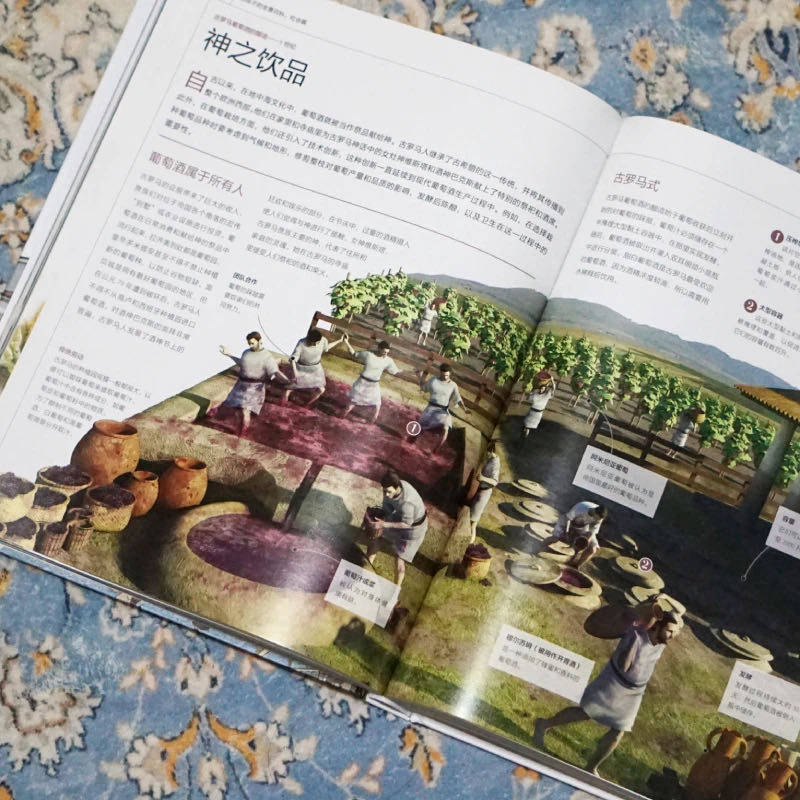 一本颜值很高的人类社会说明书 让孩子们成为 行走的小百科 知识面