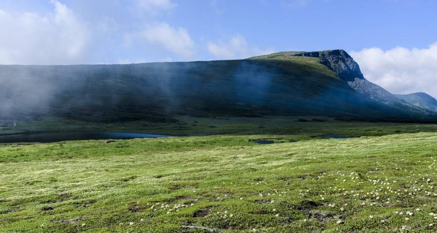 科技向善对家电企业提出高要求:方太美的海尔率先给答案-家电圈官网