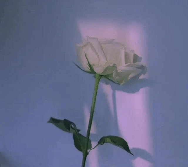 怎么让自己有城府一点 d6efe2281b154b288e2f7f058d2da5b3.png