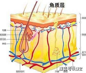 方法4种皮肤的美容护肤基础方法 你知道吗？