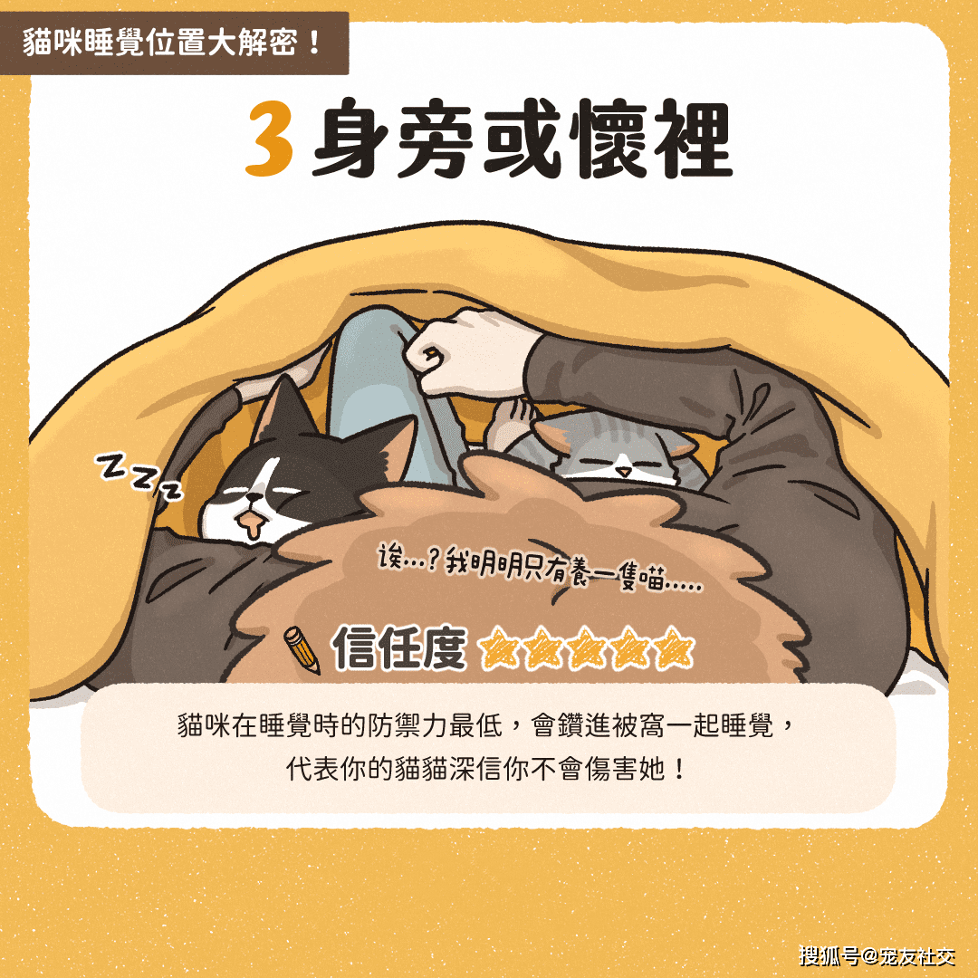 cc1e5f95eb5e4b09a8c0e2aefbc8a2ce.png