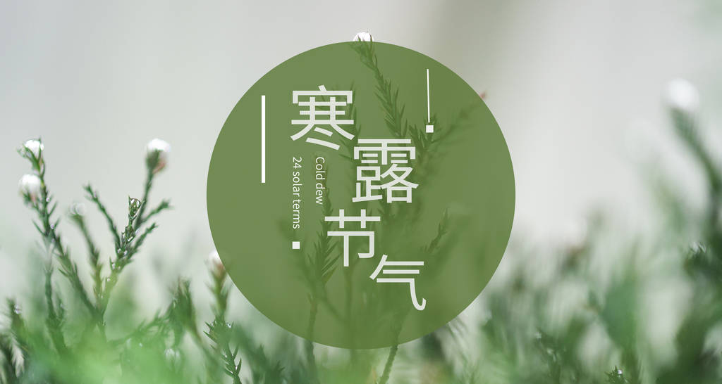 寒露將至，記得多吃8種食物種子，匯聚營養精華，為過冬打好基礎 熱愛美食 第1张