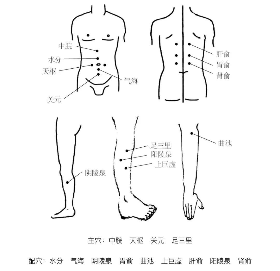 中脘又为胃之募穴和腑会之穴,可以消食,导滞,降浊,消脂;关元又为小肠