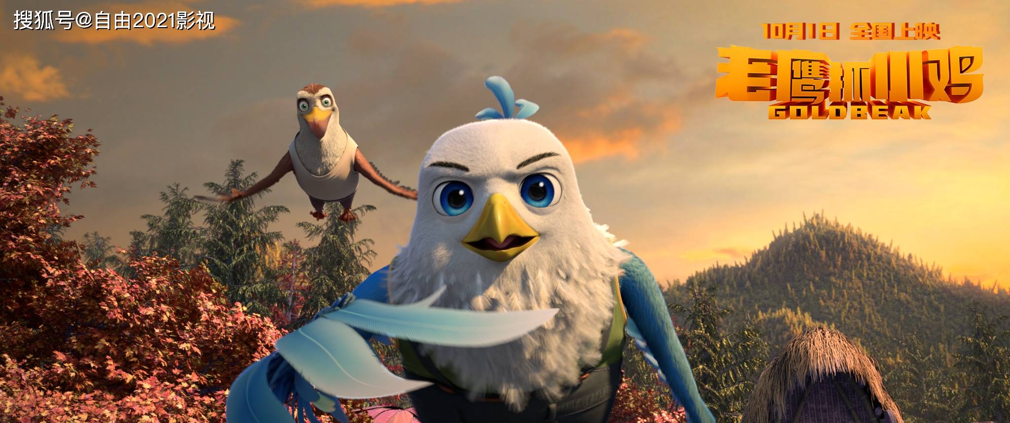 梦境迷踪，解析梦见老鹰抓小鸡的游戏的深层含义