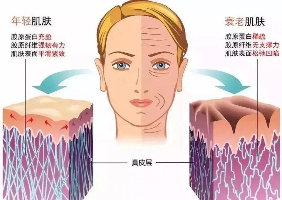 进行20岁到底能不能抗衰？雅奇给你答案