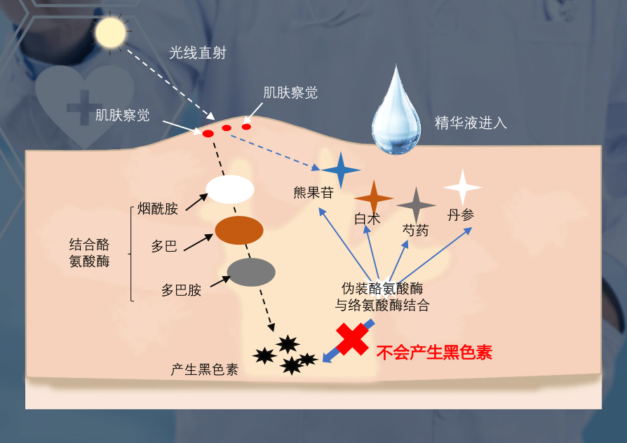 祛痘科普篇——斑是怎么来的？萃肌堂祛斑祛痘、聚致汇美祛斑祛痘