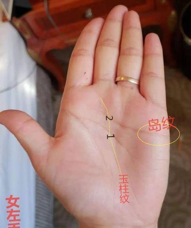 原创手相希望纹在手事业容易成功