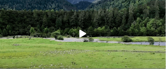 设计 李宁天猫超级品牌日喜马拉雅山脉旁,打响品牌年度大秀