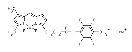 bodipyflstpestersodiumsalt氟化硼二吡咯类荧光染料