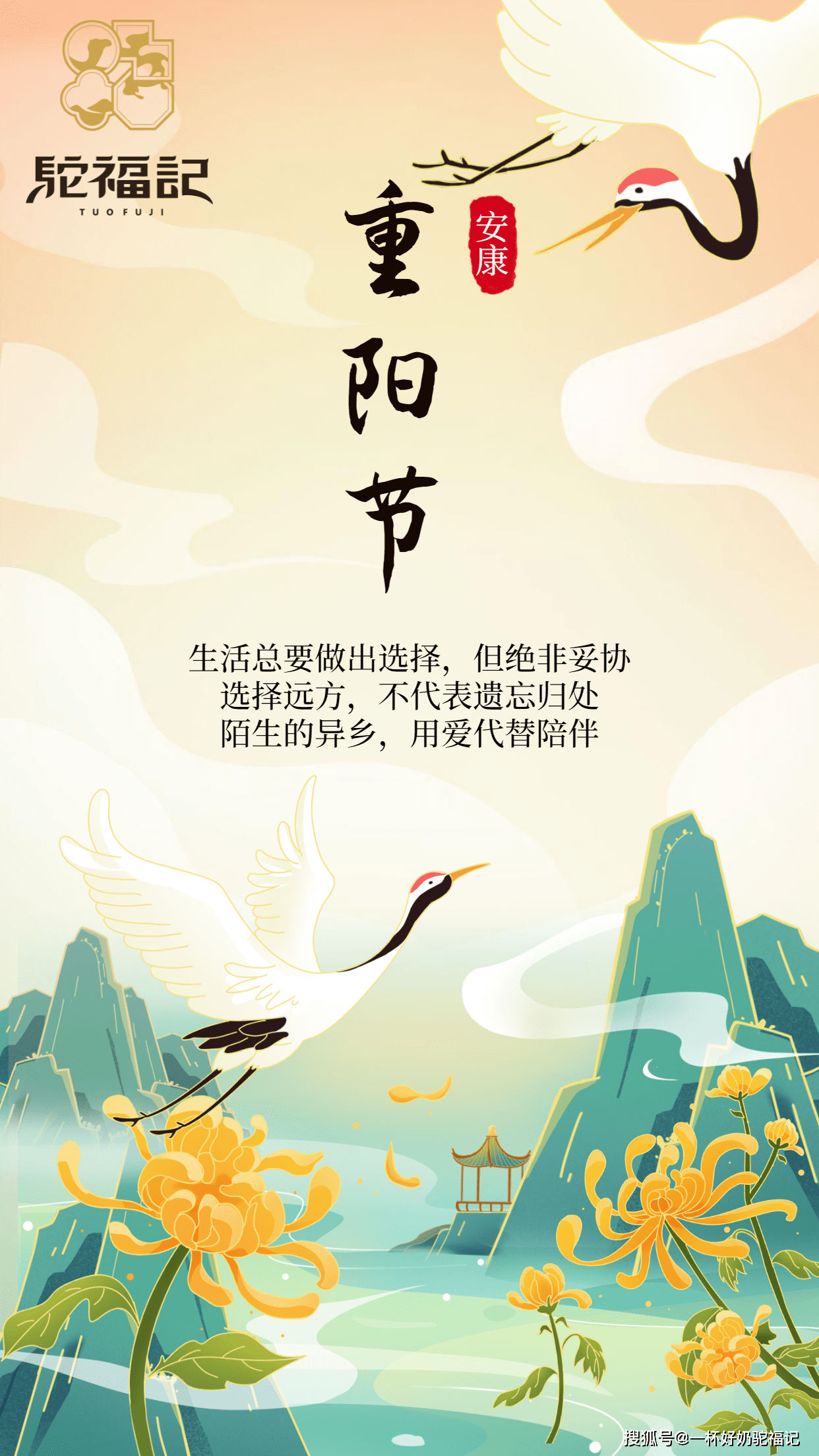 九九重阳细数那些由来和习俗还你不知道的重阳节