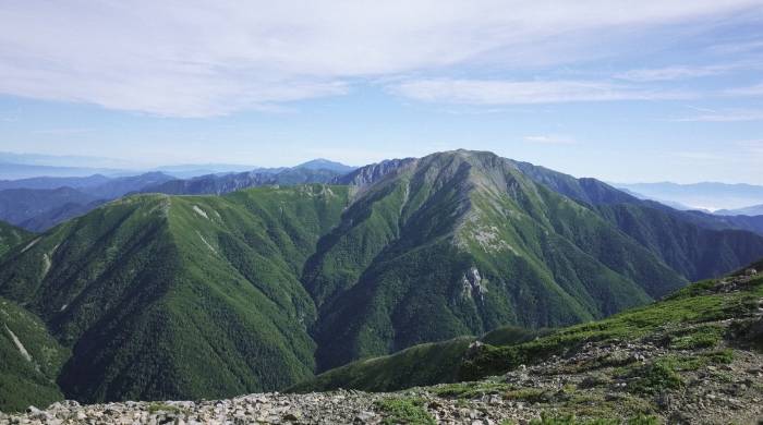 标准型家电未来活路渐明朗：大规模高效率弃渠道商-家电圈官网