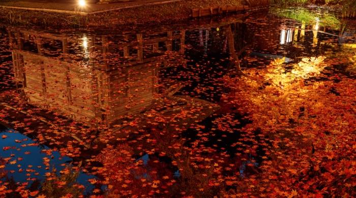 电商渠道下乡进村的野心，并非只是抢家电经销商地盘-家电圈官网