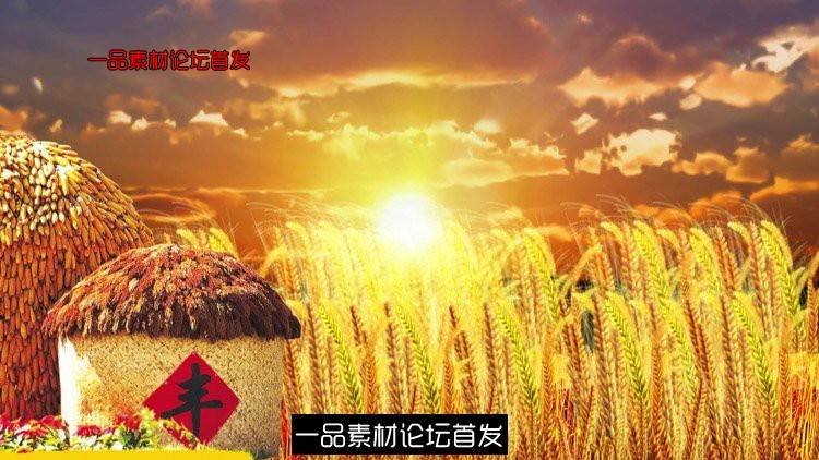 陆介政五谷丰登