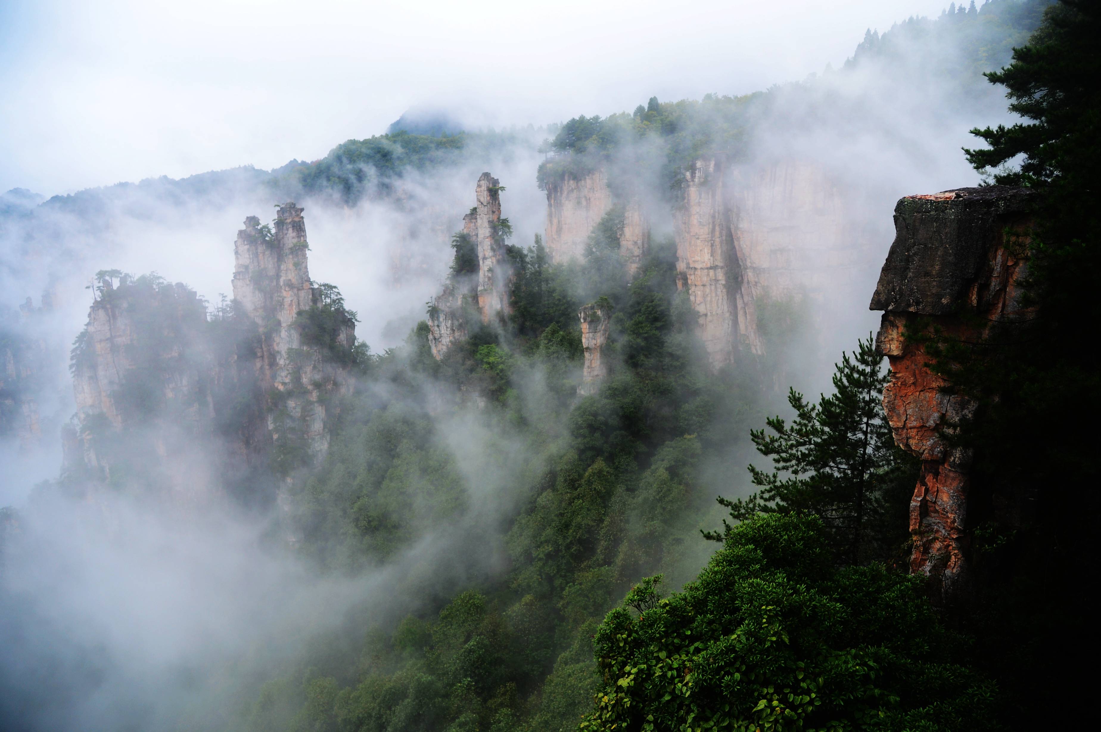 张家界武陵源一场秋雨一场仙漫山云海赛蓬莱