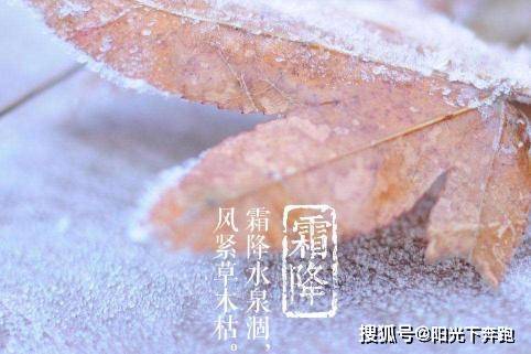 因为霜降将至!皙活分享深秋时节护肤和养生指南!
