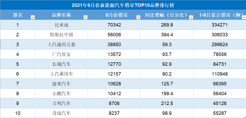 中国第一大新能源车企:超过特斯拉,五菱,连续4个月销量第一_搜狐汽车