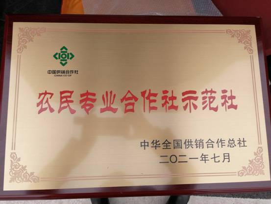 江西临川区抚余农技专业合作社获评全国示范社