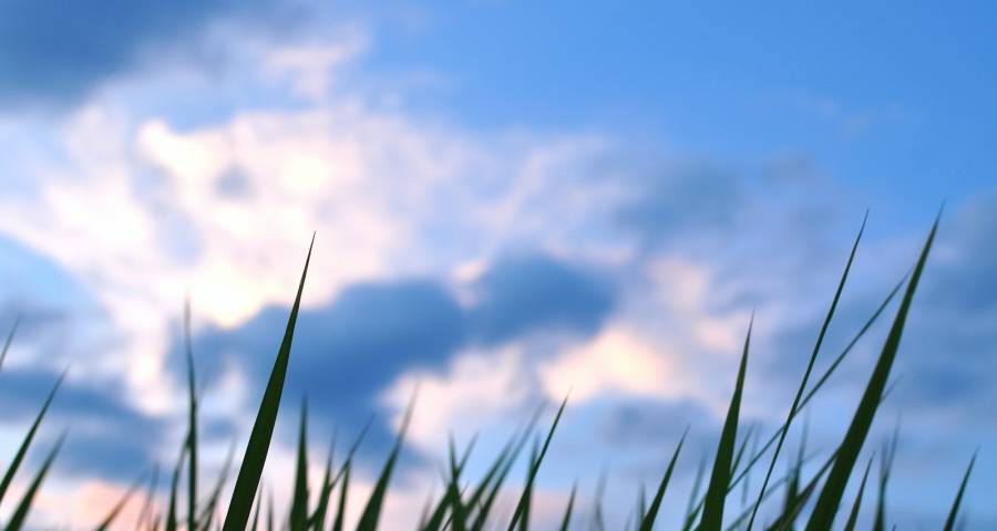 大量家电经销商们真能找到新路吗？-家电圈官网