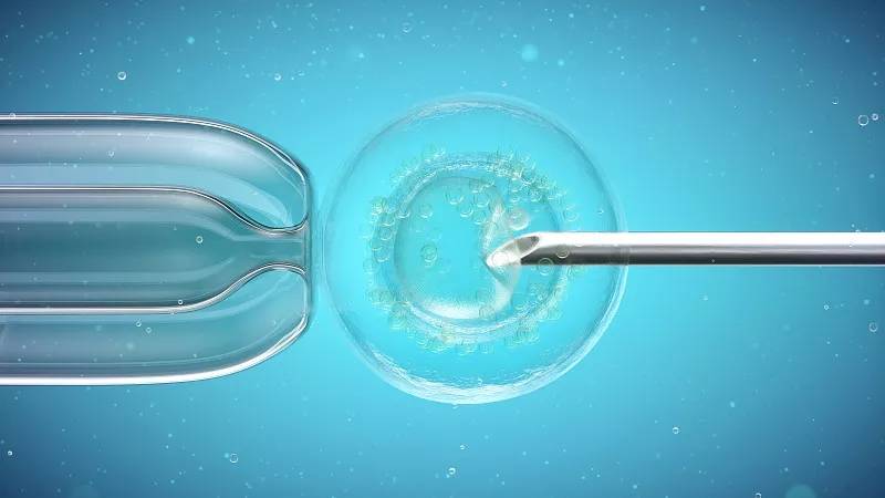 治疗|前沿:干细胞对糖尿病及其并发症的临床应用研究进展