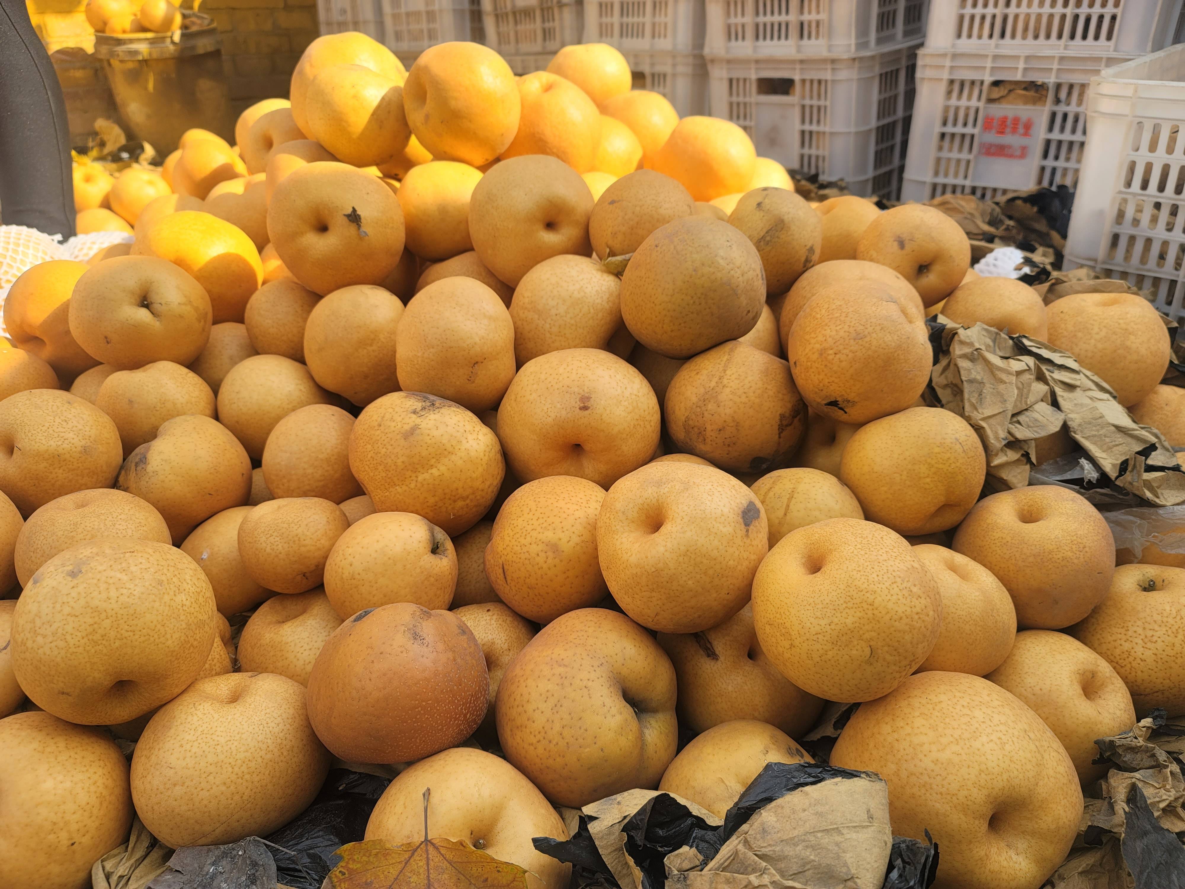 原创山西林盛果业林盛冬梨品种独占鳌头市场需求供不应求