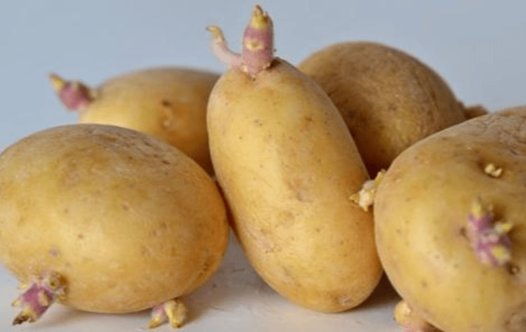 肝脏|豆腐是肝病“发物”？医生提醒：不想肝报废，“4素”赶紧撤下餐桌