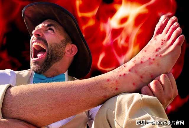 冒死野生动物实验纪录片狼叔荒野探险第5季合182集