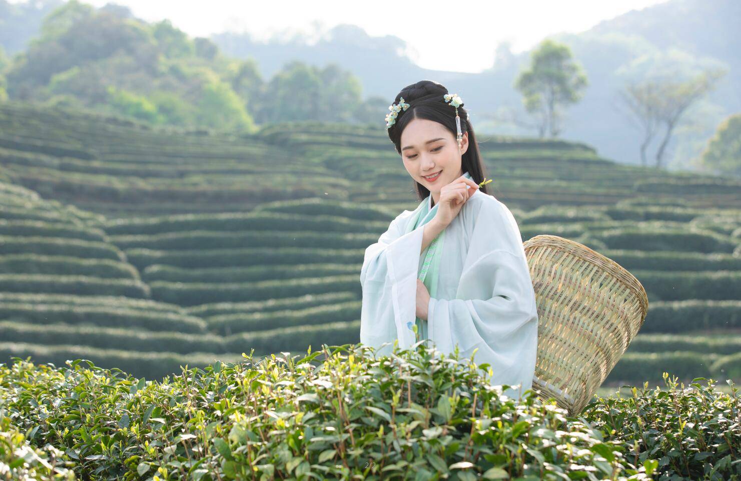 安徽皖南川藏线九峰茶谷山庄民宿,几百亩茶园,采茶女手把手教你 - 海