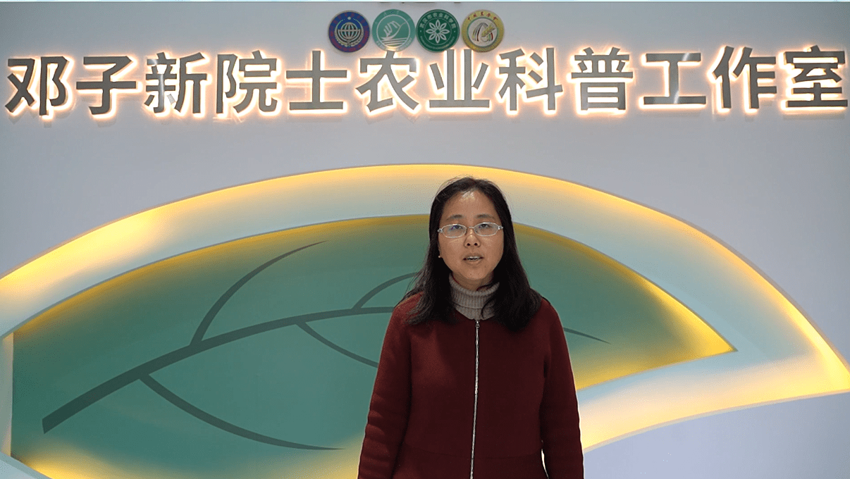 刘鑫：一个病毒的自述