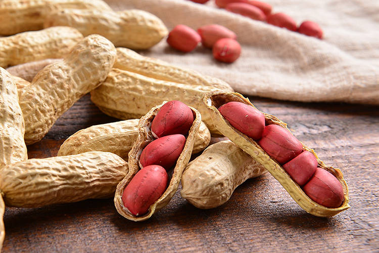 永福|永安红皮花生