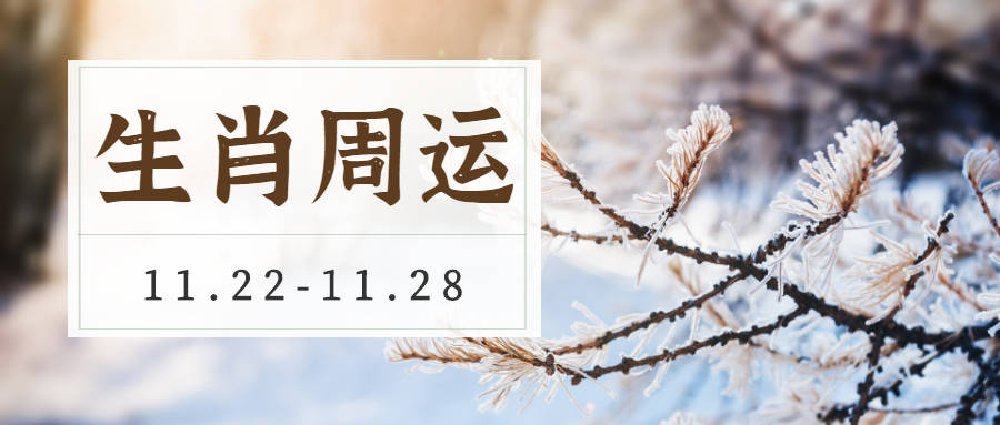 单身者|12生肖一周运势预报(11.22-11.28)