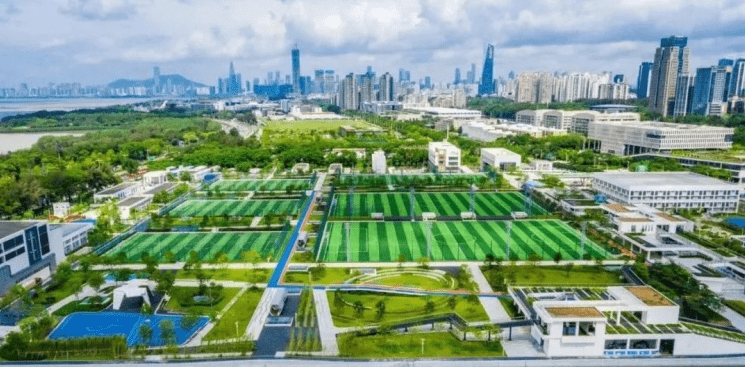 中医药|【王牌决策情报&amp;2021年11月19日 星期五】