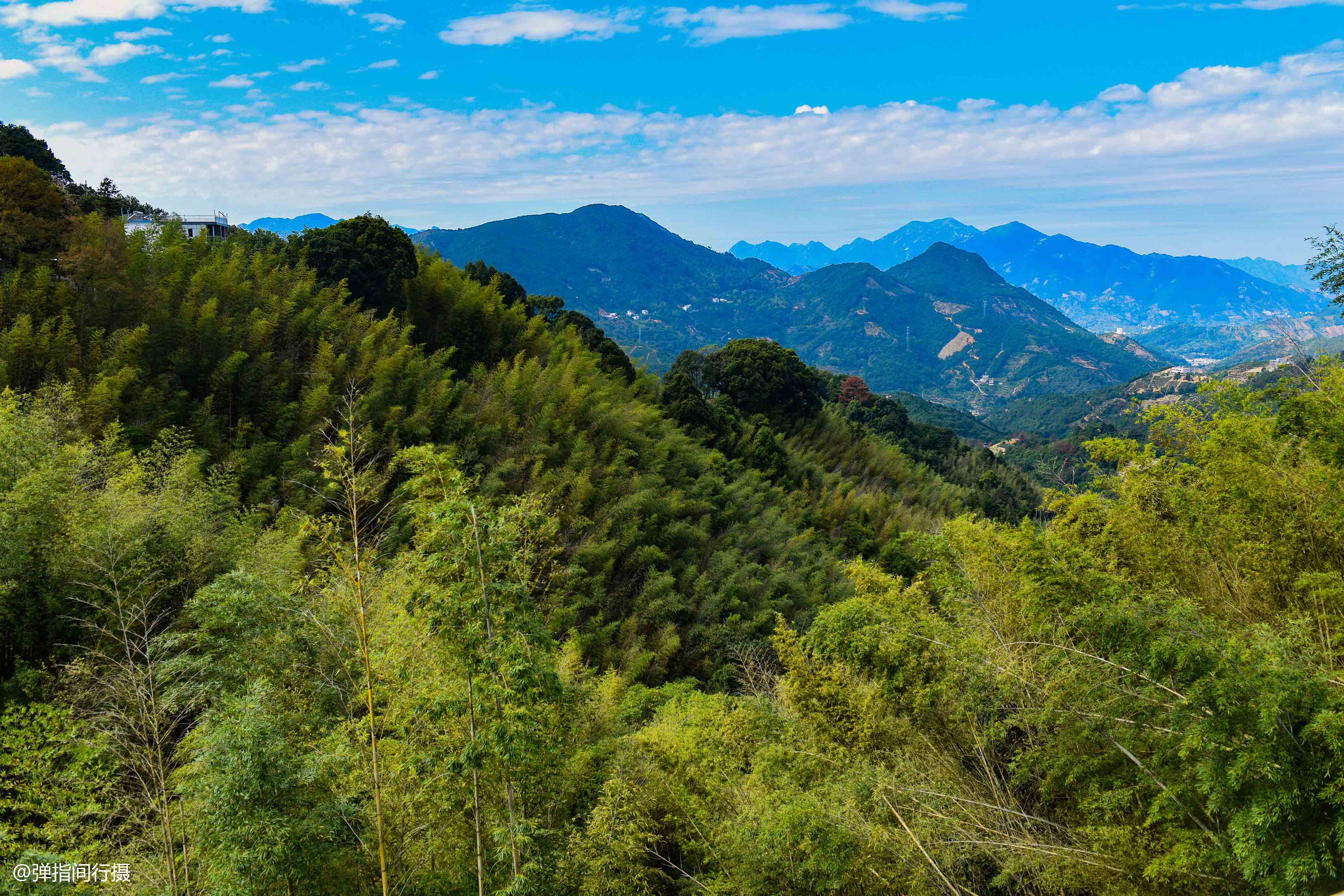 凤凰镇|广东潮州有个隐世山村，号称“单枞茶乡”，是潮汕的“诗与远方”