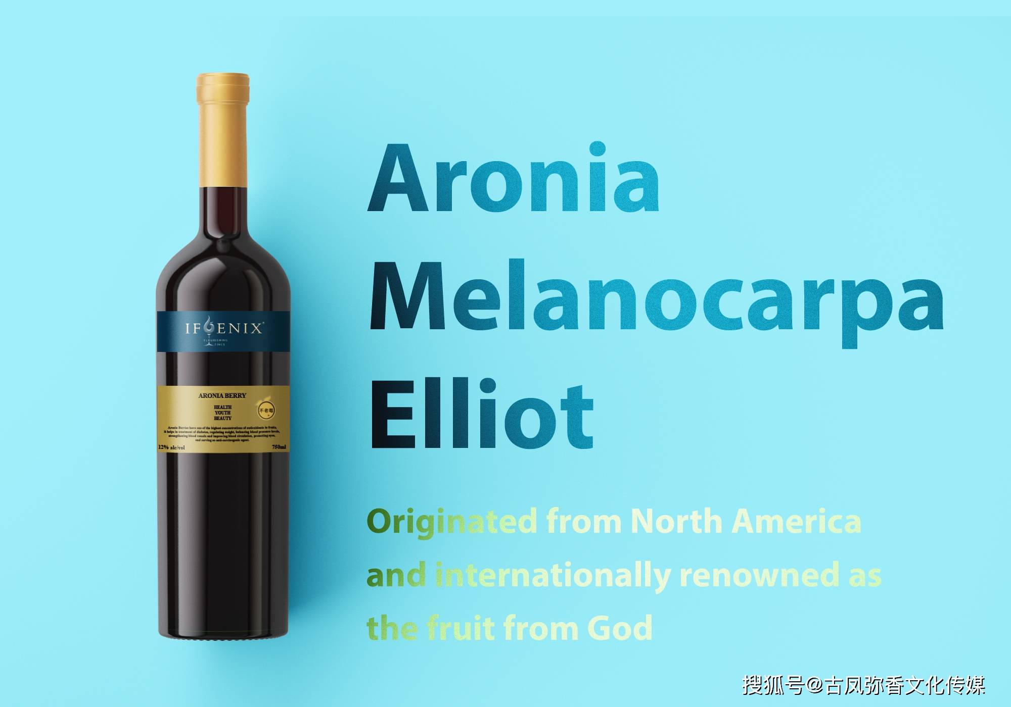 ifoenix不老莓干红初冬第一杯热红酒来一场微醺局和爱的人温暖过冬