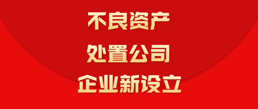 公司新设立:不良资产处置公司