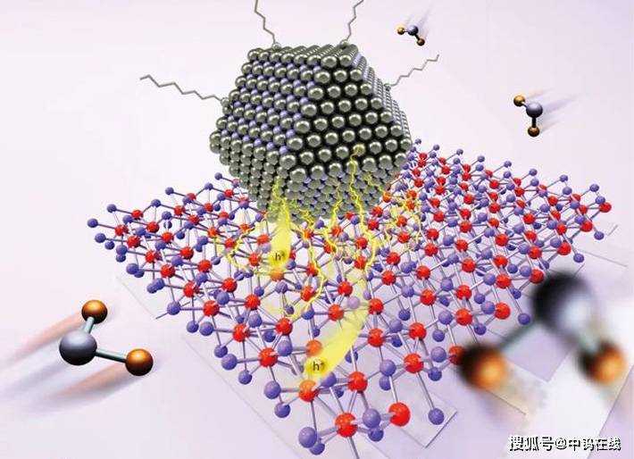 MoS2纳米片在气体传感器的应用