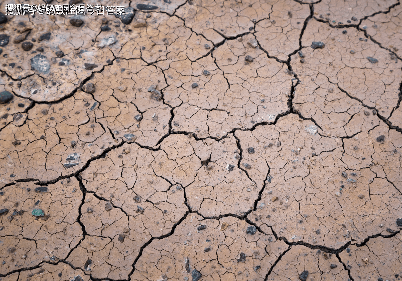 原创土壤大致可分为三层分别是底土层心土层和表土层 蚂蚁新村11月27